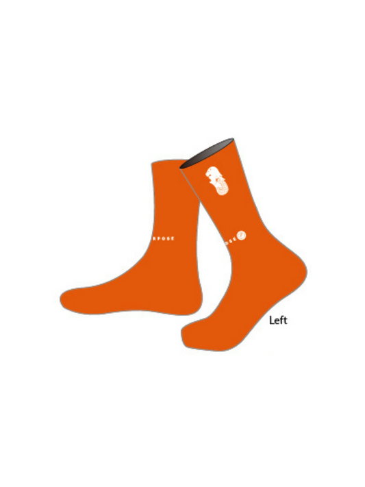 LOWLANDERS - Racing Socks